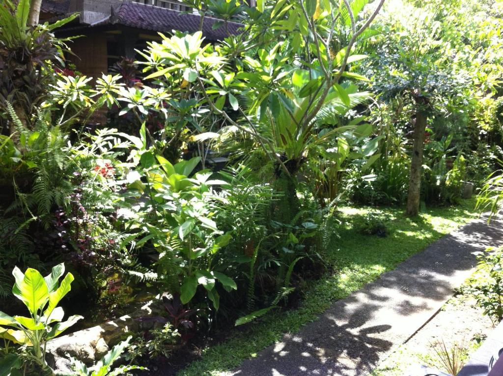 Karang Mesari Ubud Guest House Exterior foto